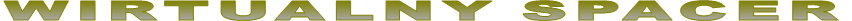 WIRTUALNY SPACER