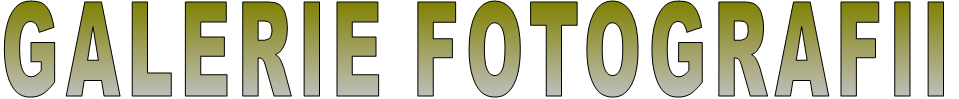 GALERIE FOTOGRAFII